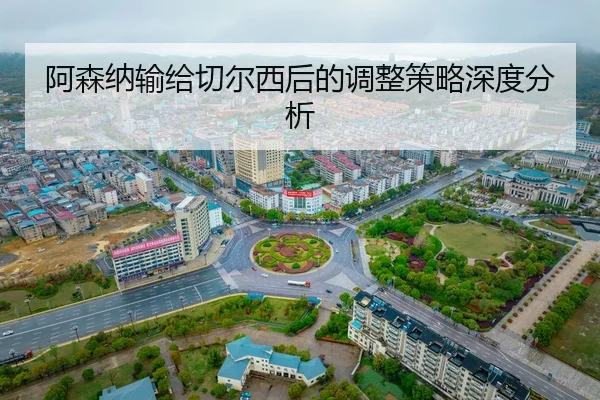 a-sen-na-shu-gei-qie-er-xi-hou-de-tiao-zheng-ce-lve-shen-du-fen-xi-2-320.jpg